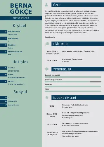 Fizyoterapist Cv Örnekleri cv indir